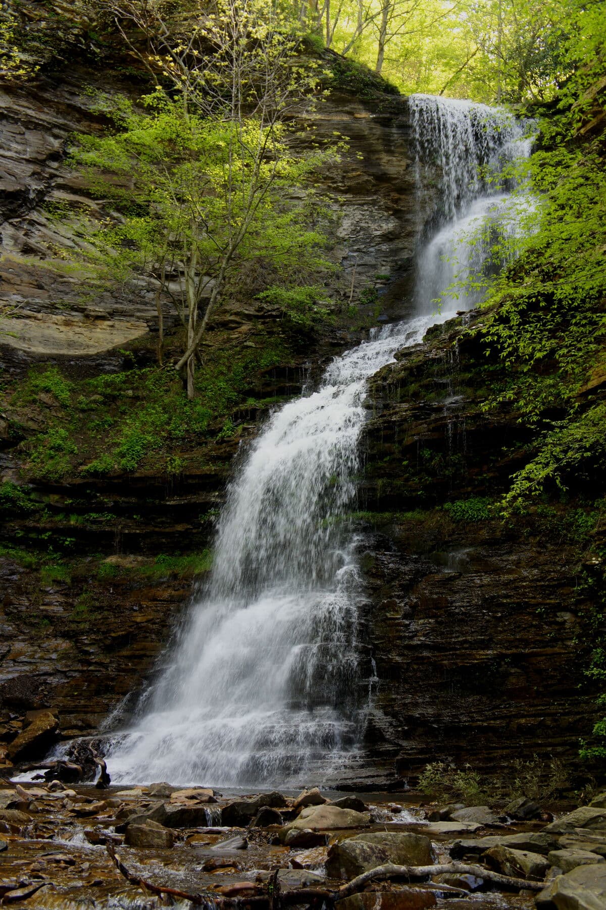 Cathedral Falls